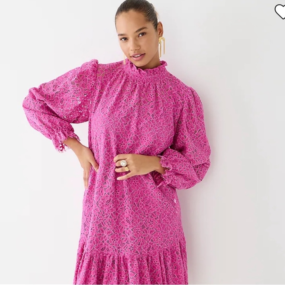 NWT J.Crew Ruffleneck Lace Dress